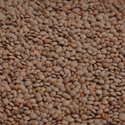 Red Lentil Whole