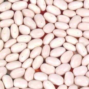 White Kidney Beans-Japanese