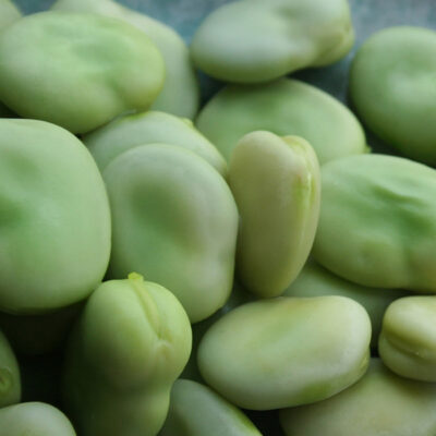 Fava Beans