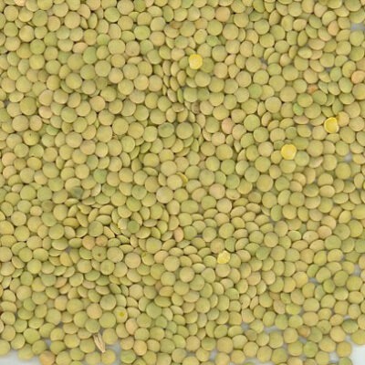 Richlea Lentils