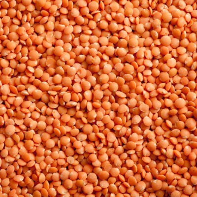 Red Lentil Football