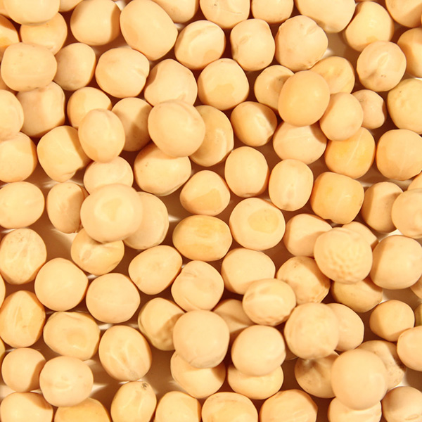 Whole Yellow Peas