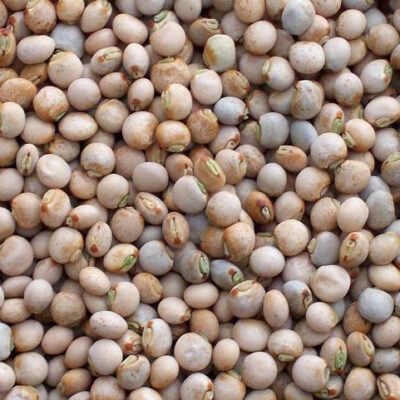 Pigeon Peas