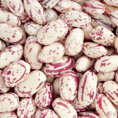 Craneberry Beans