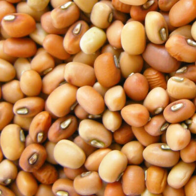 Brown-red Mung Beans
