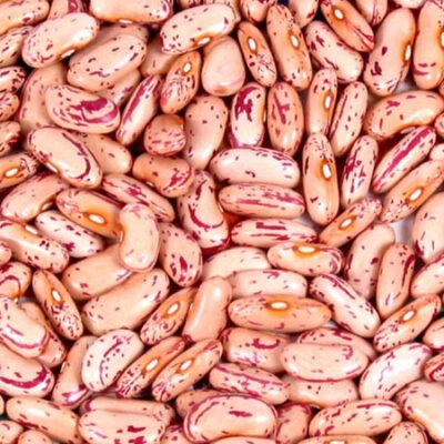 Light Speckled Kidney Beans