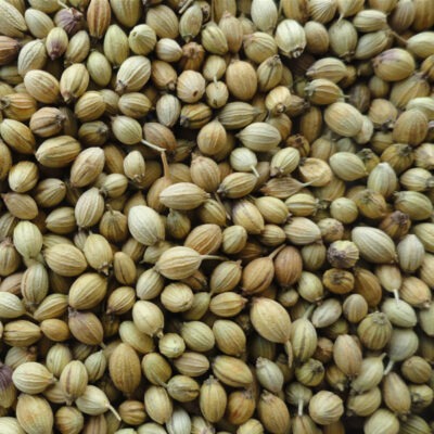 Coriander Seeds