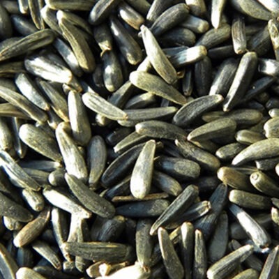 Niger Seeds